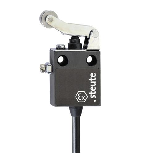 Ex Position switch Ex 12 WHL 1m IP65 (1CO) II 2G Ex d IIC T6